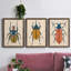Beetle Bug I - ensemble de 3 peintures sur toile encadrées-1777886076-1777886079