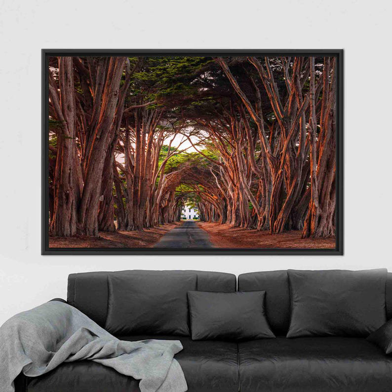 Print on Canvas, 25 cm H x 35 cm W, Black Floater Framed
