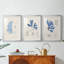 Blue Marine Algae VI - reproduction encadrée sur mesure de qualité supérieure mate - 3 pièces-751650890