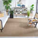 Dollard Natural Fiber Seagrass Rug