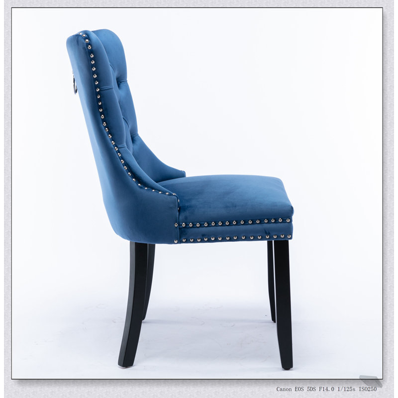 Ensemble de chaises de salle à manger rembourrées en velours de bois massif Nikki, Bleu