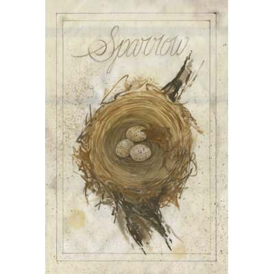 Nest - Sparrow - Wrapped Canvas Print