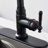 FURUISI Pull Down Kitchen Faucet-100865072
