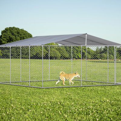 Chenil d'extérieur pour chien avec toit résistant aux intempéries - 181 po x 181 po x 72,94 po, très grand pour chiens, protégé contre les intempéries, fixation verrouillable par une porte à charnière, assemblage facile, fer à repasser argenté - grandes surfaces spacieuses, sécuritaire
