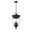 Plafonnier d'extérieur 4 lumières Jessiqua