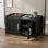 Armoire de rangement pour chaussures 47 po avec 2 portes, banc en résine imperméable résistant aux rayons UV, noir