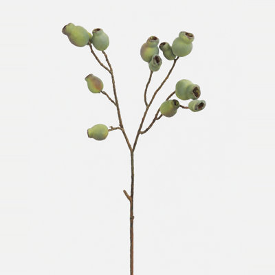 Gousses d'eucalyptus artificielles 24,5 po