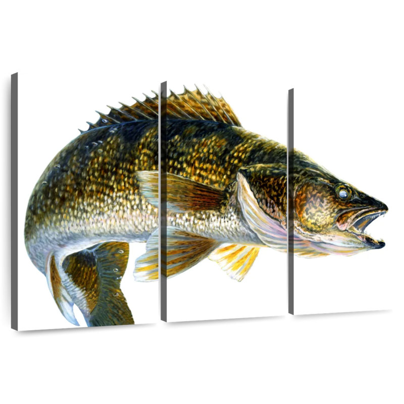 Brampt Break Line Walleye, 20" H x 33" W
