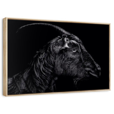 Monochrome Horned Goat