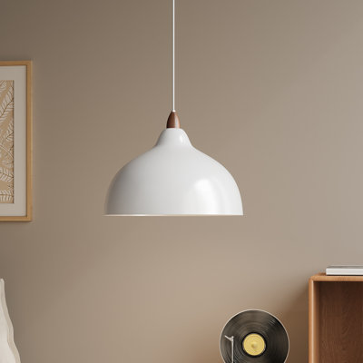 1 - Light Natural Dome Pendant