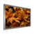 Silver Single Picture Framed selected