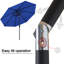 Parasol Cutts Market-1331973319-1252935278