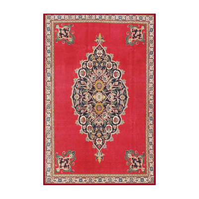 Oriental Indoor Rug