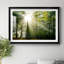 Light and Trees II - Photographie avec cadre-520607933-520607934