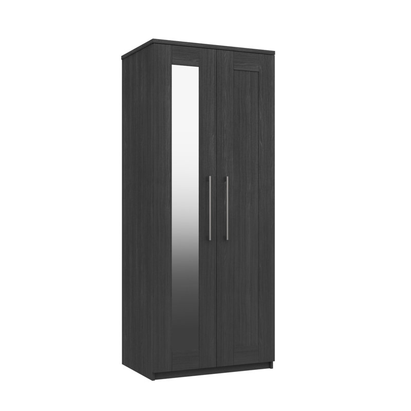 Alishma 2 Door Manufactured Wood Wardrobe, Graphite