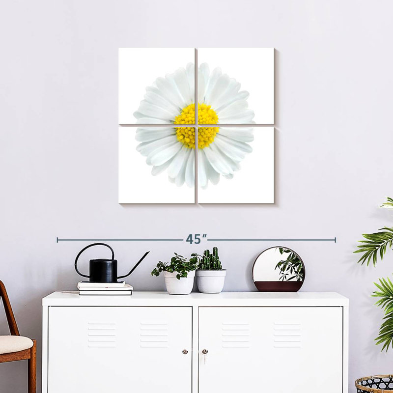 Fleur de camomille blanche, H 26 po x l 26 po