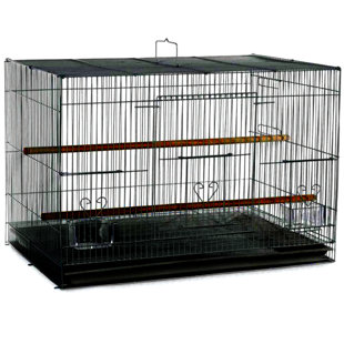 Iron Flat Top Flight Cage with Perch