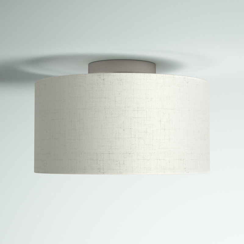 Modern Meadow 13" Brushed Nickel Indoor/Outdoor Drum Light
