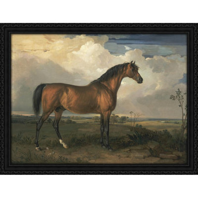 Eagle, a Celebrated Stallion (1809)
