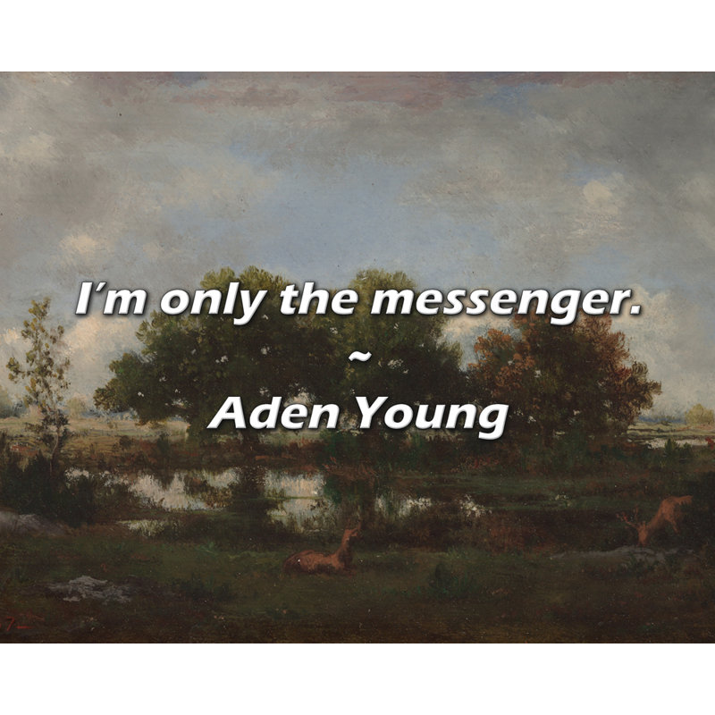 Citation artistique «Je ne suis que le messager». Toile tendue par Aden Young, H 17 po x l 24 po