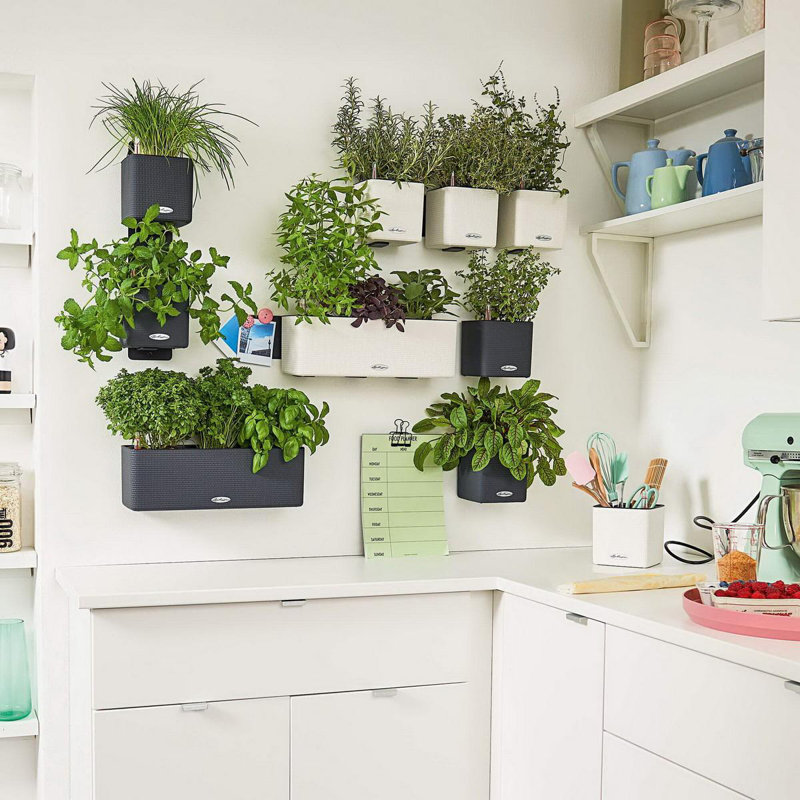 Wall Planter