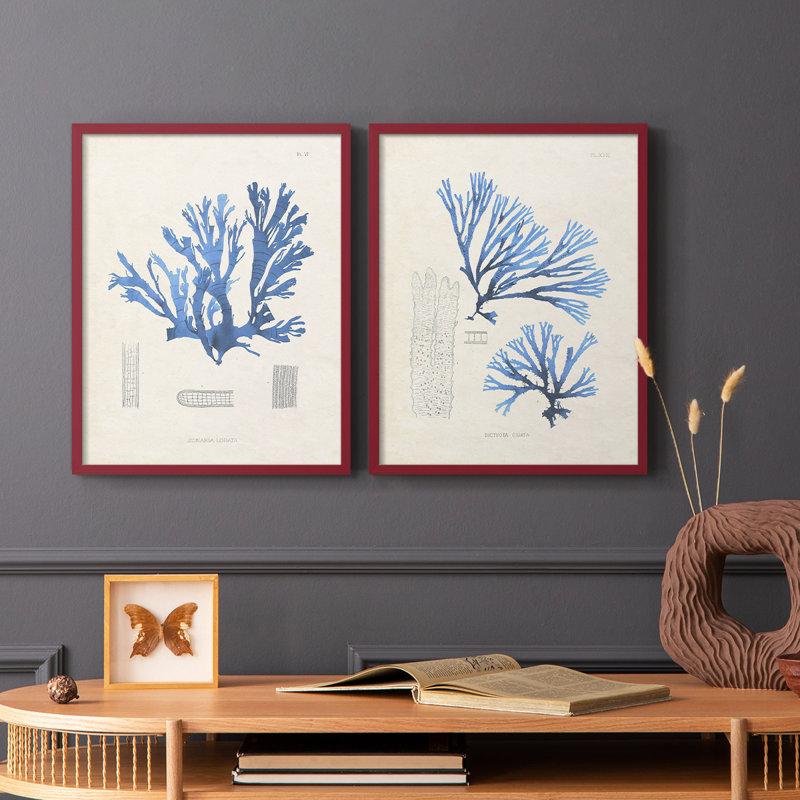 Algue bleue bleue - reproduction encadrée de qualité supérieure - prête à être accrochée - aucun clou requis - aucun clou requis