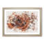 Orange Rose - Picture Frame Graphic Art Print-56915212-56915218