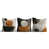 Black/Orange