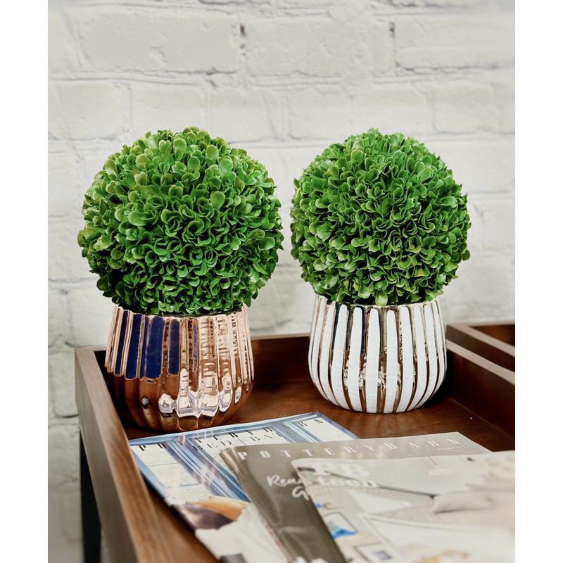 4" White and Chrome Ceramic Succulent Planter Pot