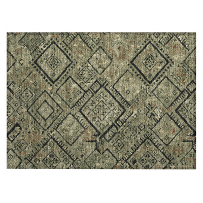 Machine Washable Indoor/Outdoor Chantille ACN2470 Global Rug
