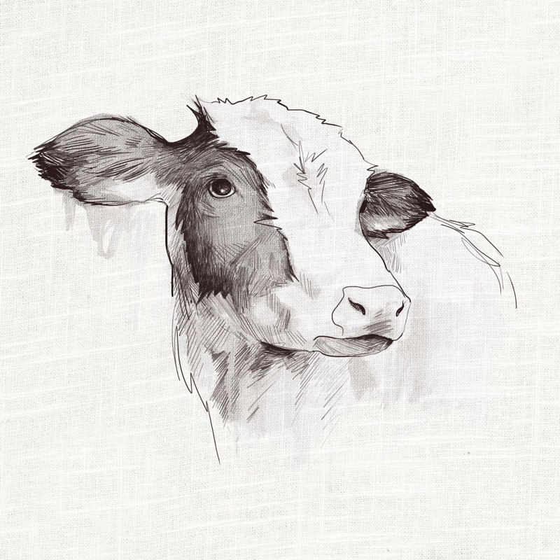 Dessin à l'encre de vache, H 36 po x l 36 po, Oui, Papier avec cadre photo noyer