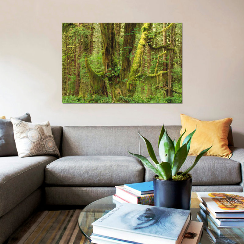 « trempé rainforest interior queets river valley olympique national park washington », reproduction de photo sur toile