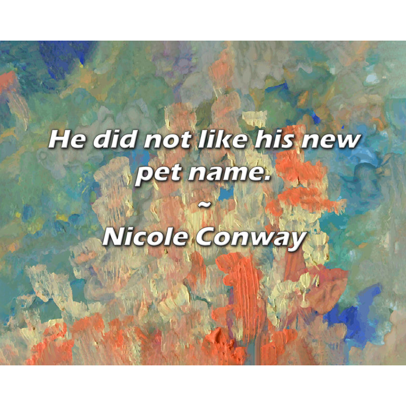 Citation artistique «Il n'aimait pas son nouveau nom d'animal de compagnie. Toile tendue par Nicole Conway