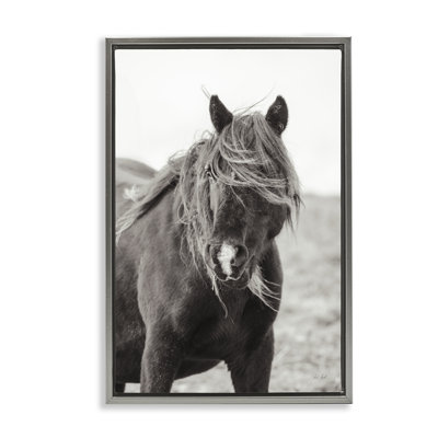 Art mural sur toile Wild Pony with Windy Mane, design par Deborah Revell