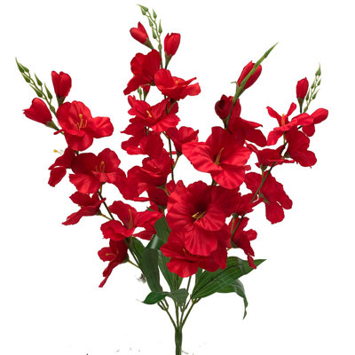 Gladiola Arrangement