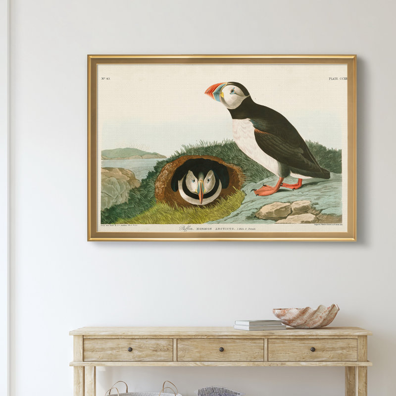 Macareux moine - reproduction d'art sur toile, H 30,5 po x l 42,5 po x P 1,5 po, Doré