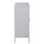 Akers 2 -Door 3 -Shelf-39864680