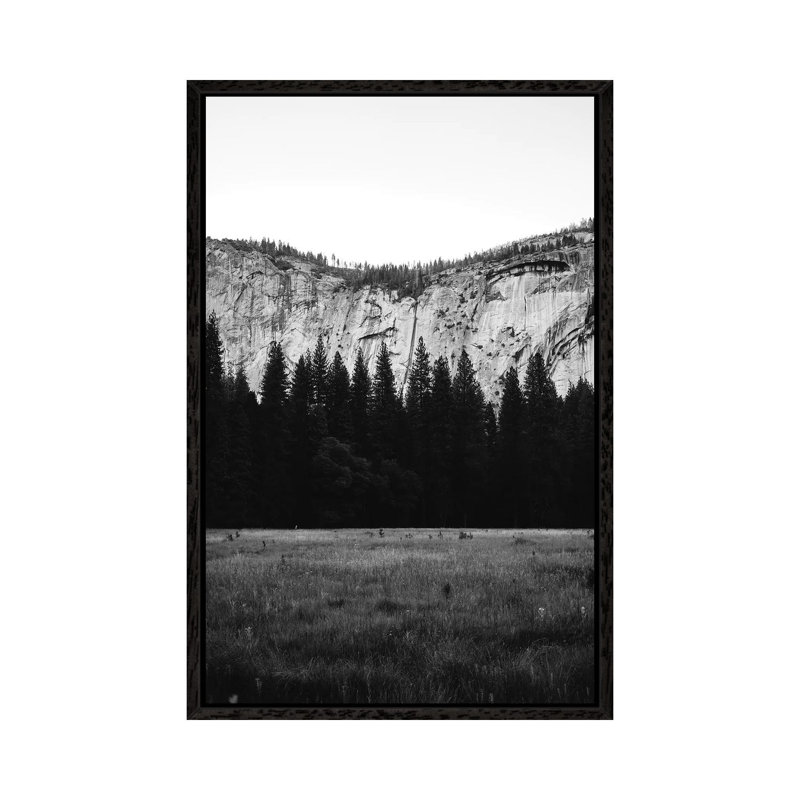 Yosemite Valley IV by Bethany Young - Print on Canvas, 152.4cm H x 101.6cm W x 3.81cm D, Black Framed