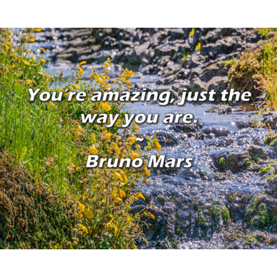 Citation artistique «Vous êtes incroyable, comme vous êtes.» Toile tendue par Bruno Mars Gallery