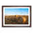 Walnut Framed selected