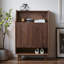 Luxury Style Retro Storage Shoe Cabinet