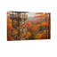 Plantes et fleurs, automne, tour de forêt, vue de paysage, peinture-1424308644-1424308698-1424308699