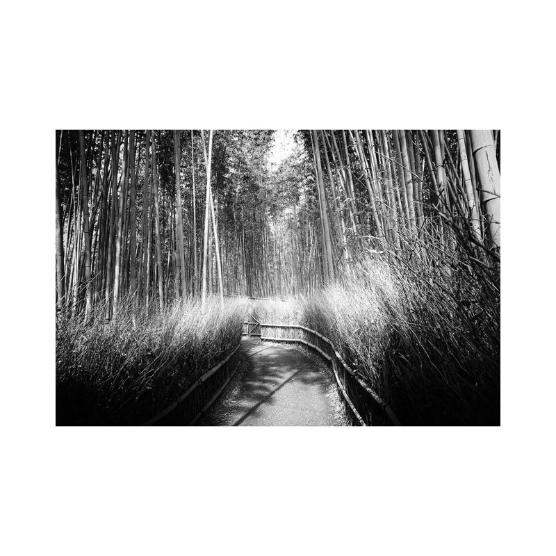 Philippe Hugonnard - Wrapped Canvas Print, 20.32cm H x 30.48cm W