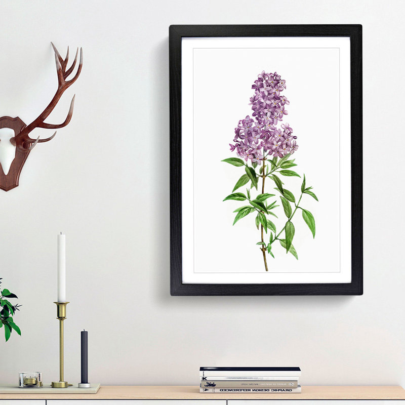 Persian Lilac Flowers by Pierre-Joseph Redoute - Picture Frame Painting Print, 48cm H x 36cm W x 2cm D, Black Framed