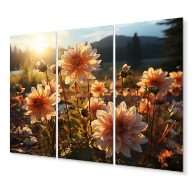 «Daisies Field Sunrise II», ensemble d'art mural floral en métal