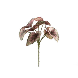 Leaves 33cm Plant