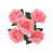 Corail