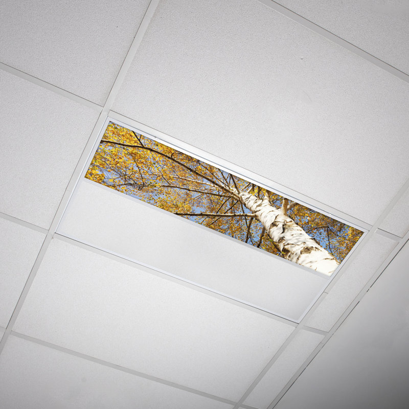 Tree Rectangle Fixture Component Ceiling Light