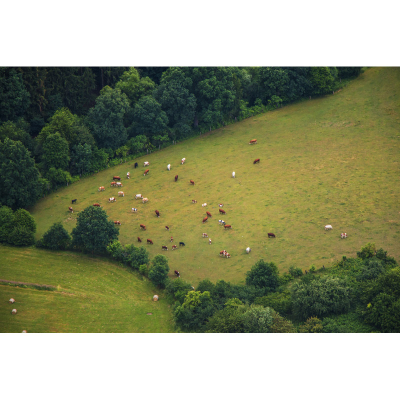 Photo Of Rural Landscape by Katerina Sisperova - Wrapped Canvas Print, 30cm H x 46cm W