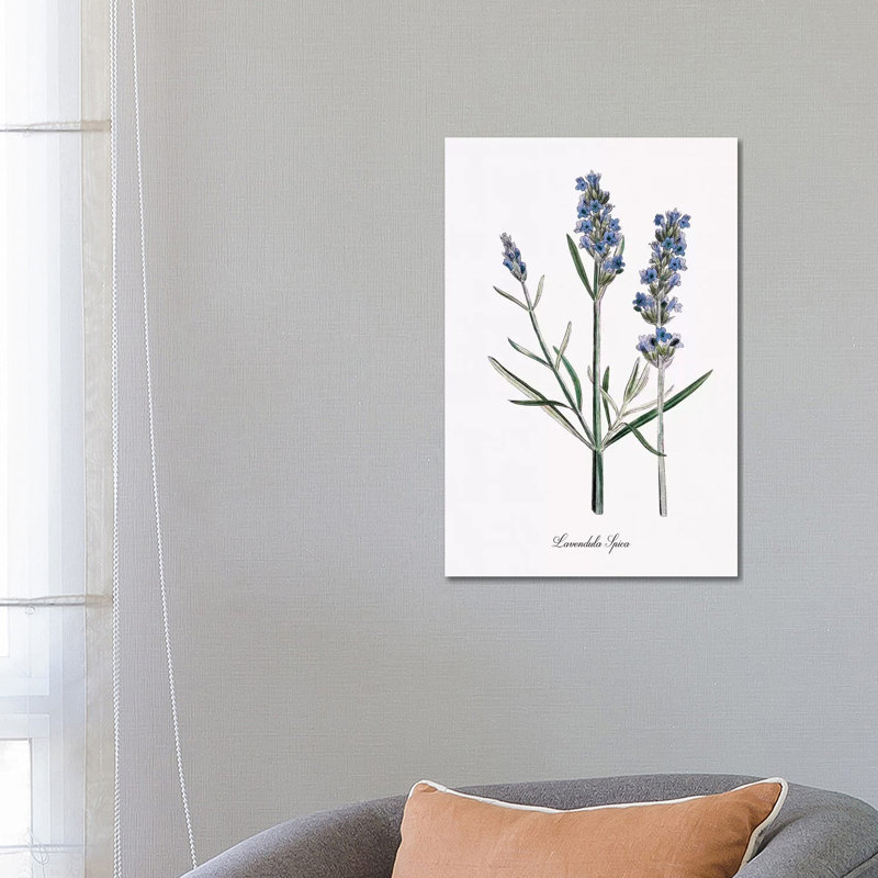Lavender by Kelly Donovan - Wrapped Canvas Gallery-Wrapped Canvas Giclée, 66.04 cm H x 45.72 cm W